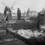 Orphanage Windmills