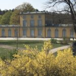 Haga Pavilion Exterior