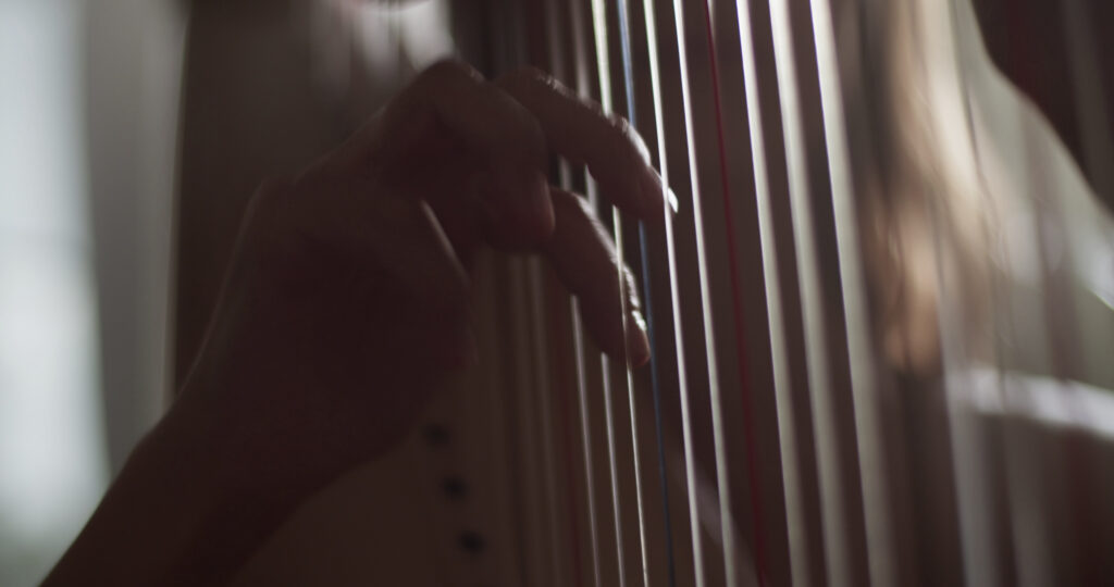Hands of female harpist playing instrument
